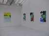 exposition Marielle Paul, galerie Jean Brolly, juillet 2011